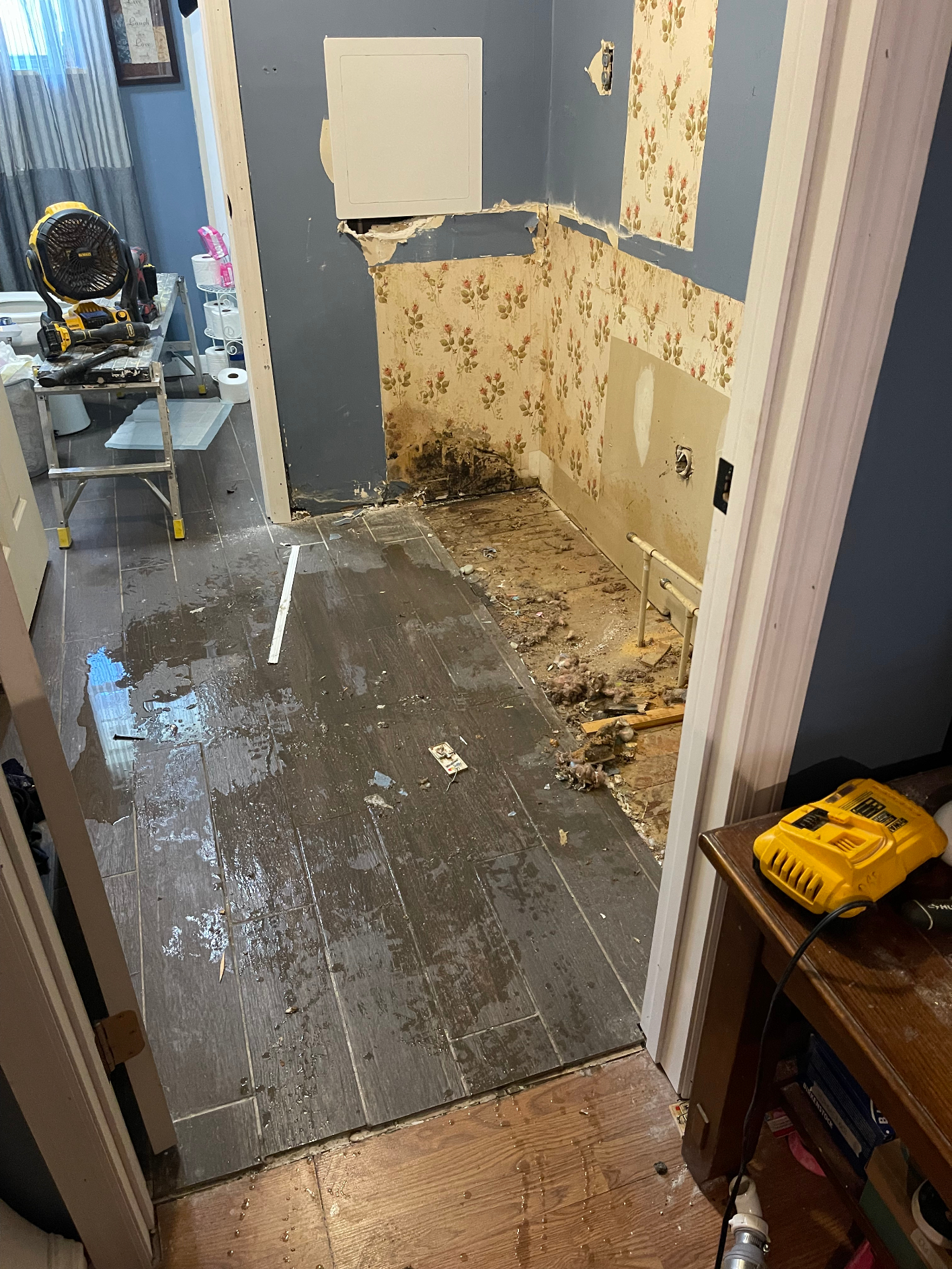 Demo - vanity removed, floor and wall damage exposed - Cleveland, TN
